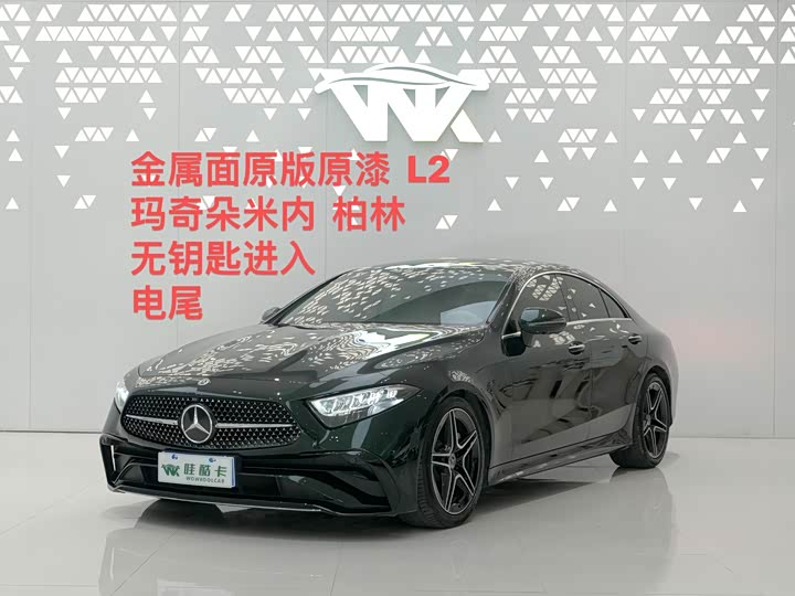 Mercedes-Benz CLS-Class 2023 2023款 CLS 300 豪华型