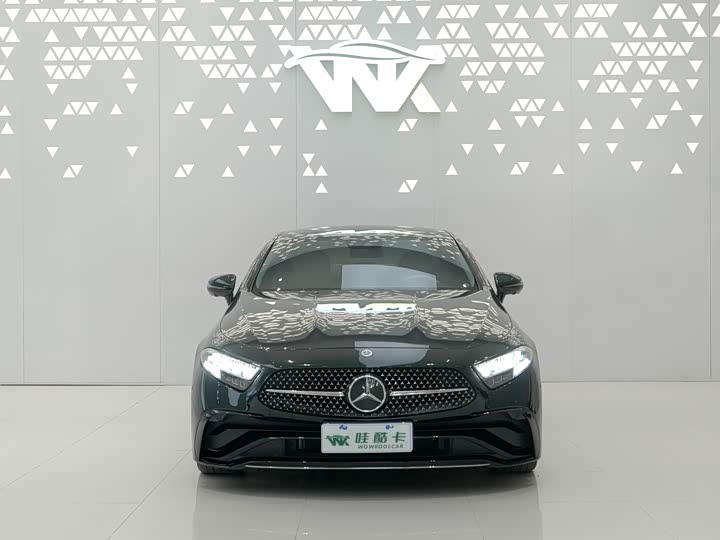 Mercedes-Benz CLS-Class 2023 2023款 CLS 300 豪华型