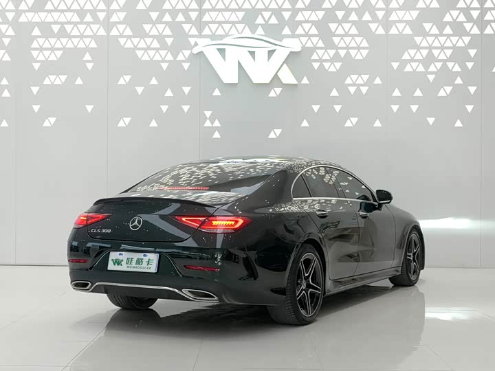 Mercedes-Benz CLS-Class 2023 2023款 CLS 300 豪华型