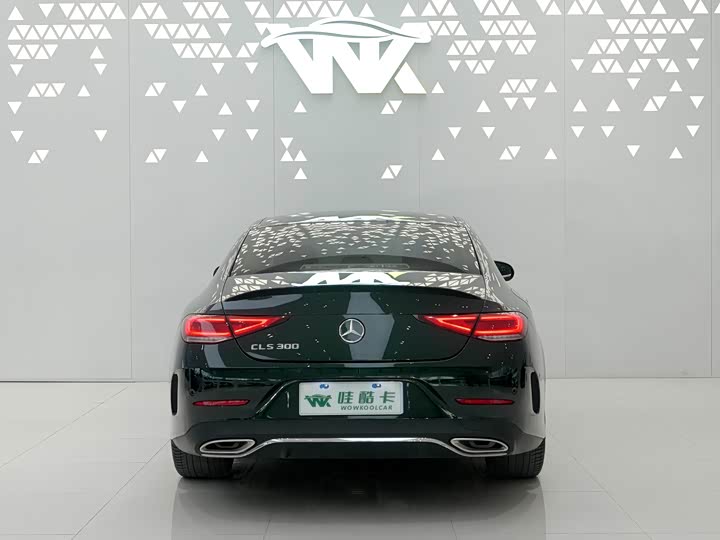 Mercedes-Benz CLS-Class 2023 2023款 CLS 300 豪华型