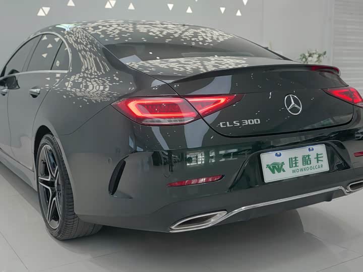 Mercedes-Benz CLS-Class 2023 2023款 CLS 300 豪华型