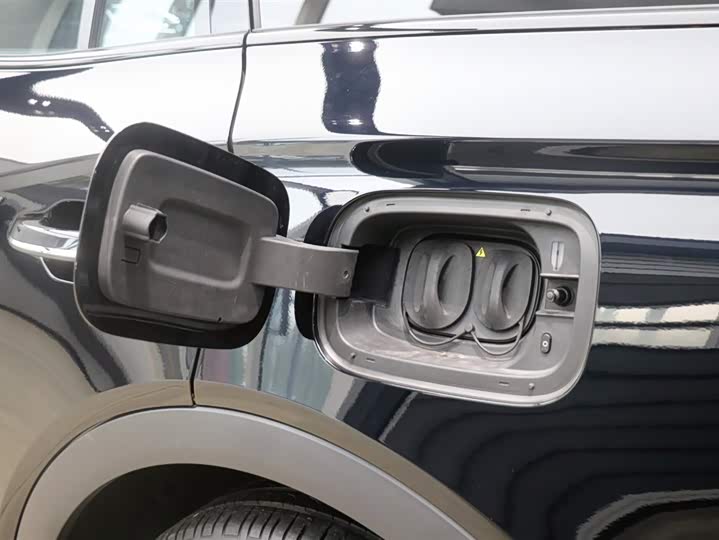 Hongqi HS7 Hybrid 2024 2024款 2.0T PHEV 四驱旗畅版 6座