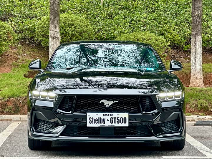 Ford Mustang 2024 2024款 2.3T EcoBoost 硬顶性能版