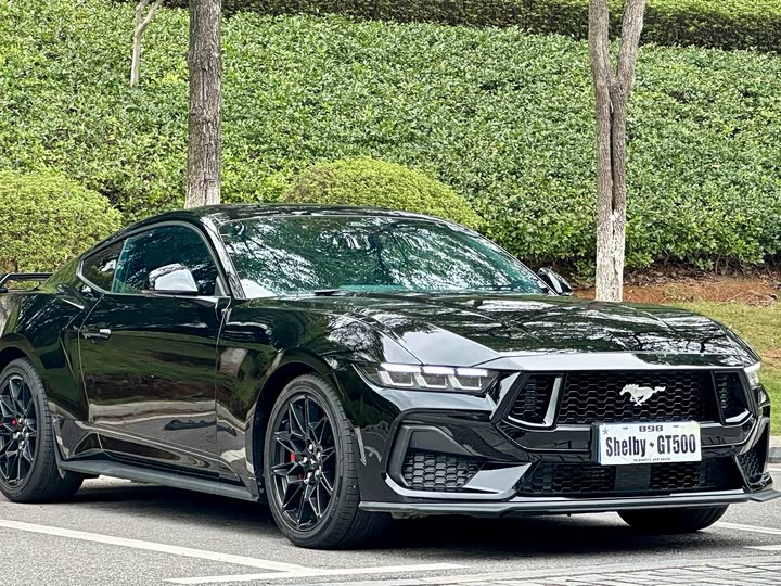 Ford Mustang 2024 2024款 2.3T EcoBoost 硬顶性能版