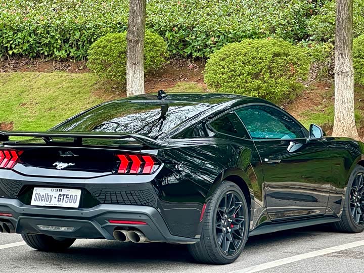 Ford Mustang 2024 2024款 2.3T EcoBoost 硬顶性能版