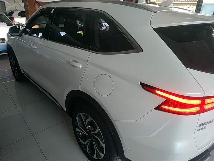 Haval Ruge Max 2023 2023款 1.5L Hi4 105 四驱领航版