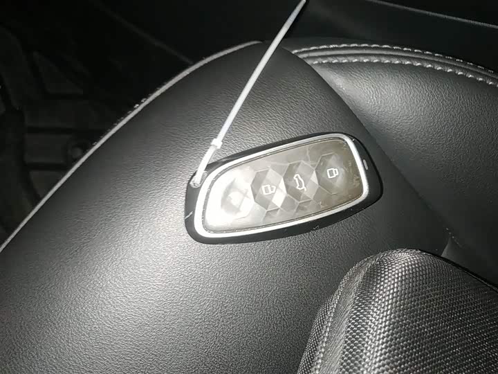 Haval Ruge Max 2023 2023款 1.5L Hi4 105 四驱领航版