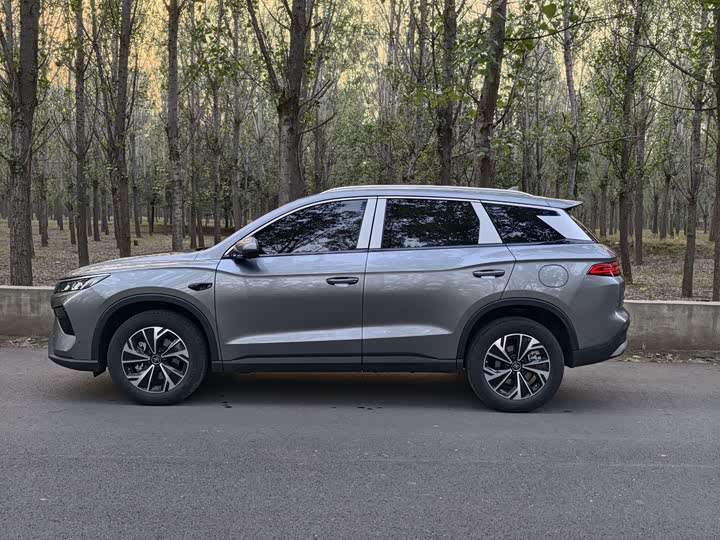 BYD Song Pro Hybrid 2025 2025款 第二代 智驾版 DM-i 75KM领先型