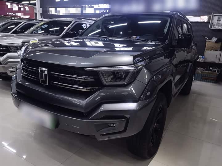 Tank 400 Hybrid 2024 2024款 Hi4-T 越野版