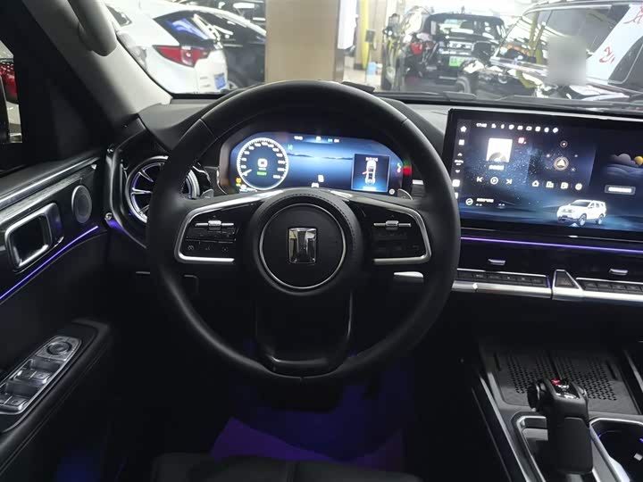 Tank 400 Hybrid 2024 2024款 Hi4-T 越野版