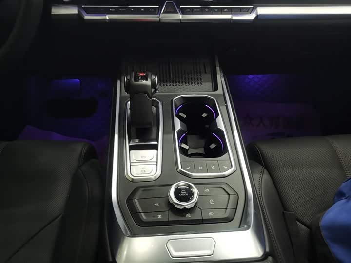 Tank 400 Hybrid 2024 2024款 Hi4-T 越野版