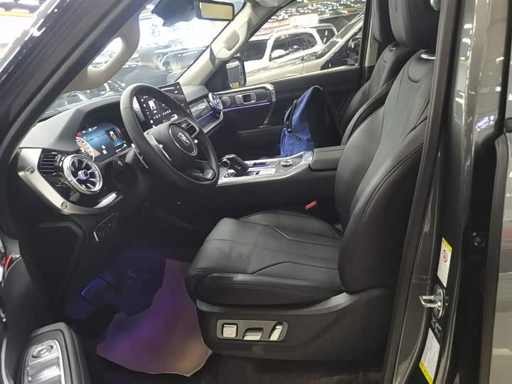 Tank 400 Hybrid 2024 2024款 Hi4-T 越野版