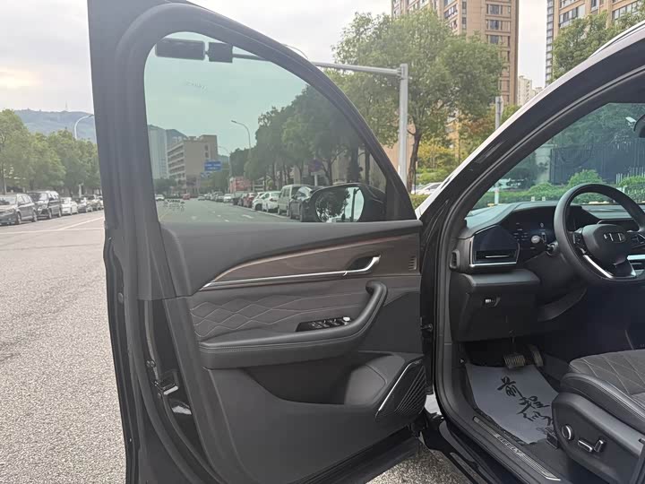 Geely Monjaro 2025 2025款 东方曜 2.0TD 自动揽星版