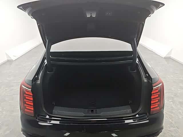 Hongqi H9 2024 2024款 2.0T 旗畅 私享风尚版