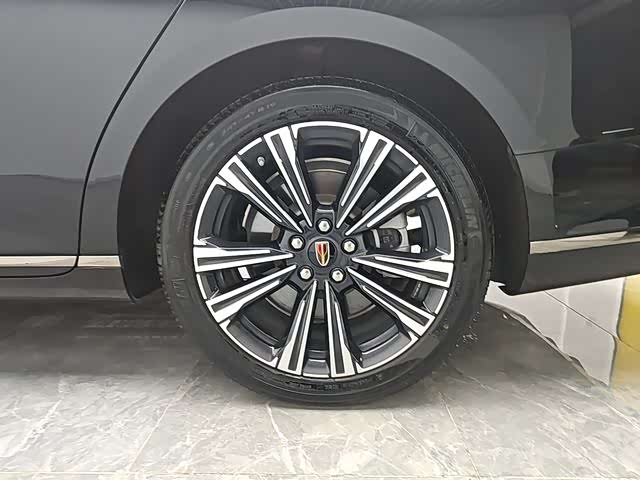 Hongqi H9 2024 2024款 2.0T 旗畅 私享风尚版