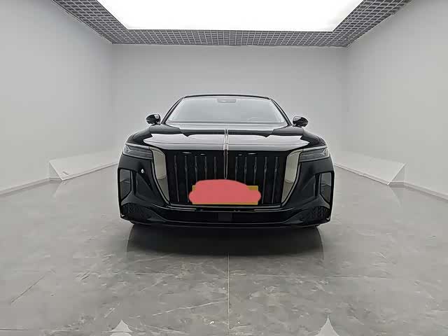Hongqi H9 2024 2024款 2.0T 旗畅 私享风尚版