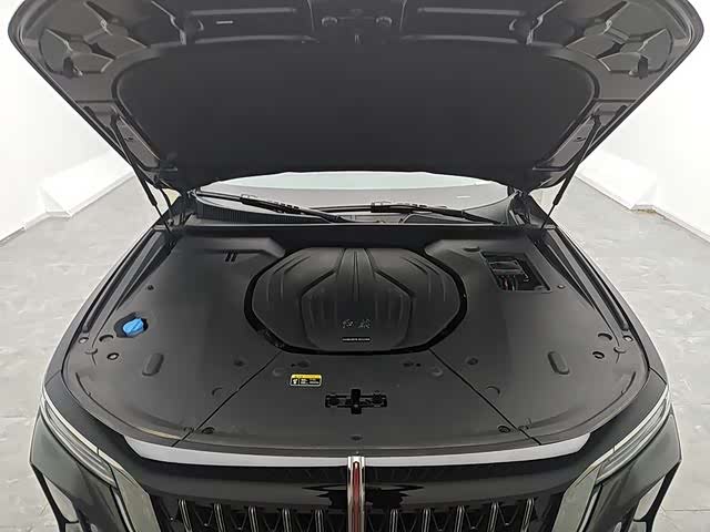 Hongqi H9 2024 2024款 2.0T 旗畅 私享风尚版