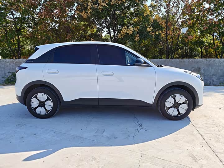 Geely Galaxy Geome 2026 2026款 310km 青春版