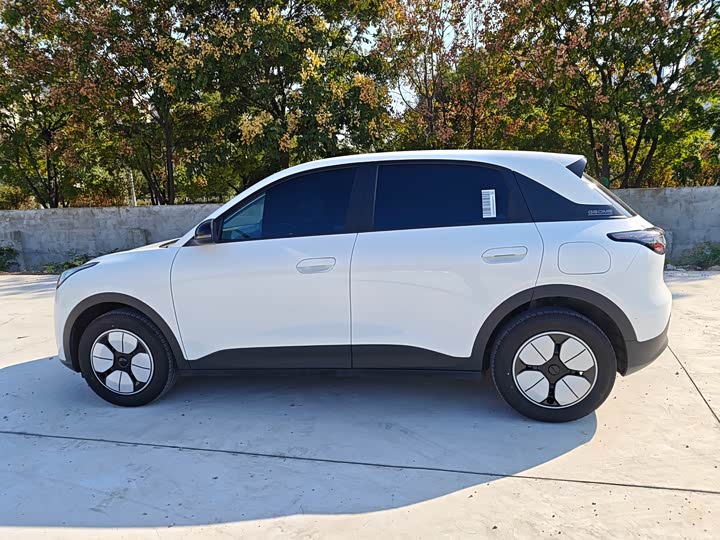 Geely Galaxy Geome 2026 2026款 310km 青春版