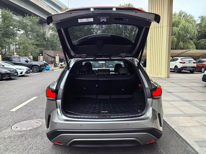 Lexus RX Hybrid 2023 2023款 450h+ 四驱畅享版