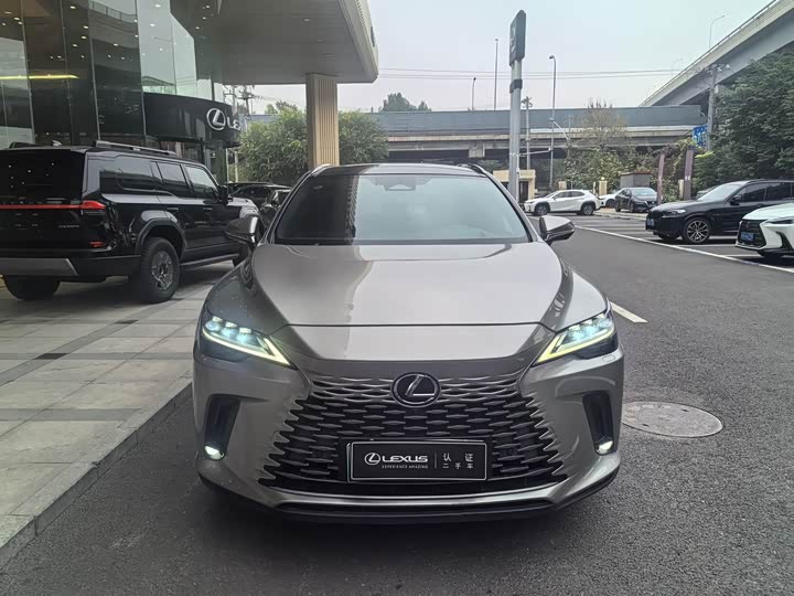 Lexus RX Hybrid 2023 2023款 450h+ 四驱畅享版