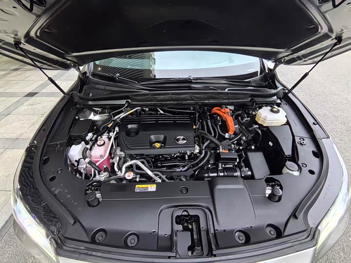 Lexus RX Hybrid 2023 2023款 450h+ 四驱畅享版