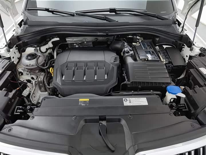 Skoda Kodiaq 2022 2022款 TSI330 5座两驱奢享版