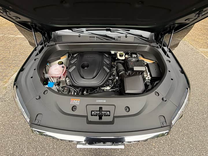 Geely Monjaro 2025 2025款 东方曜 2.0TD 自动四驱望月版