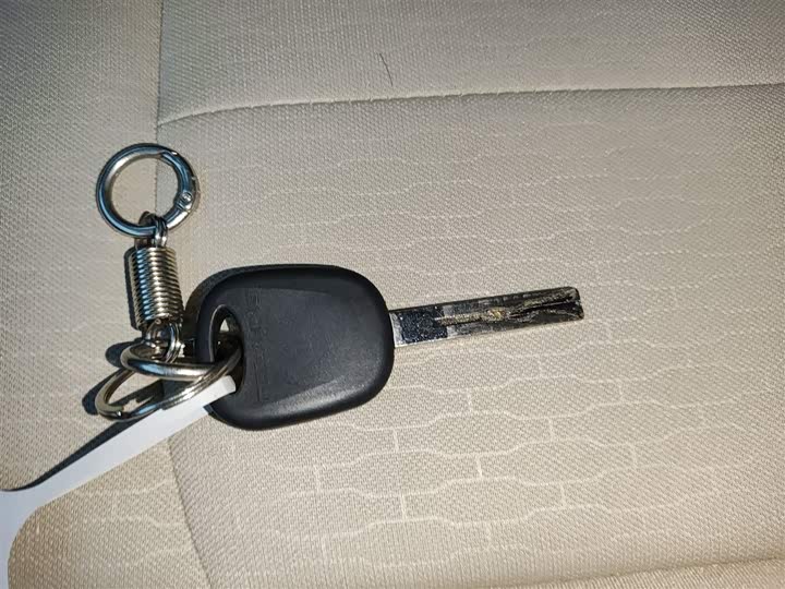 Dongfeng Forthing Lingzhi M5 2023 2023款 M5L 1.6L 基本型 7座