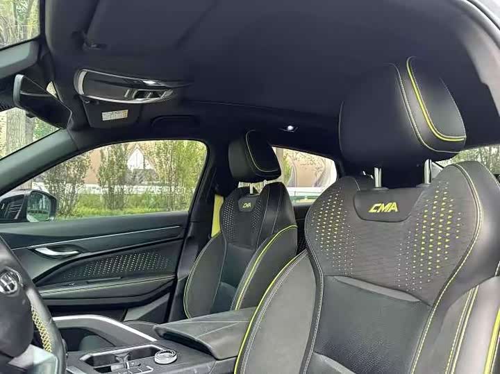 Geely Tugella S 2021 2021款 2.0TD 自动两驱闪电版