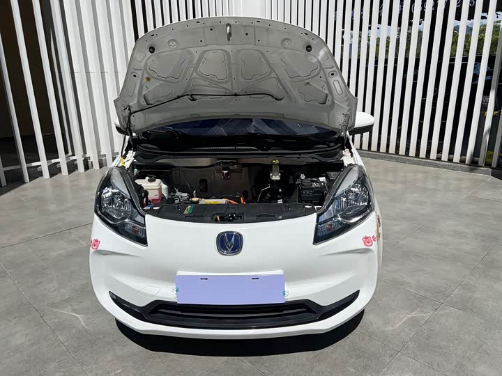 Changan BenBen E-Star 2022 2022款 清心版 多彩款 磷酸铁锂