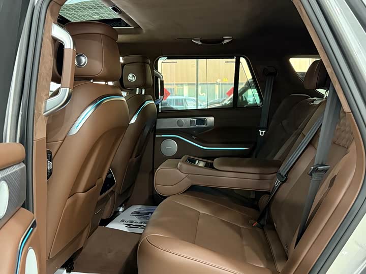 Tank 700 Hybrid 2024 2024款 Hi4-T 极境版