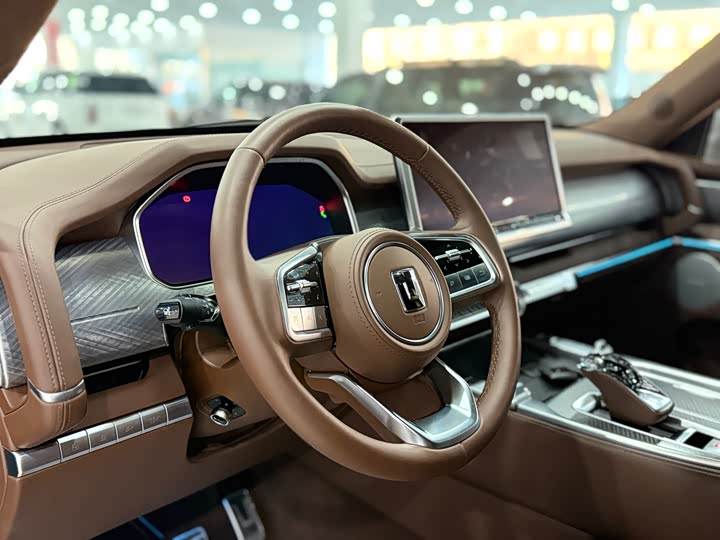 Tank 700 Hybrid 2024 2024款 Hi4-T 极境版