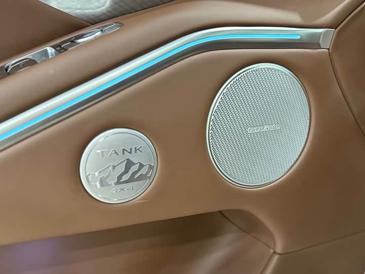 Tank 700 Hybrid 2024 2024款 Hi4-T 极境版