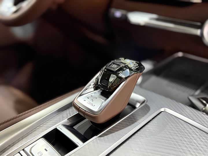 Tank 700 Hybrid 2024 2024款 Hi4-T 极境版