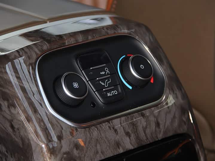 Ford Tourneo 2020 2020款 改款 2.0T 自动精英版