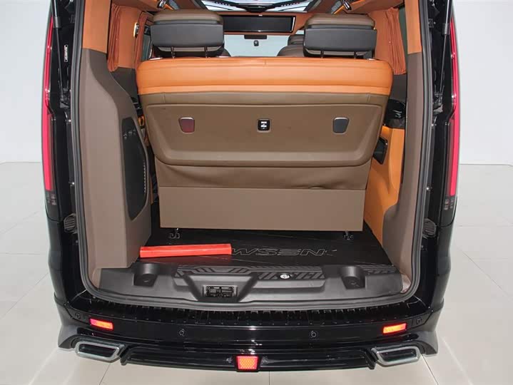 Ford Tourneo 2020 2020款 改款 2.0T 自动精英版