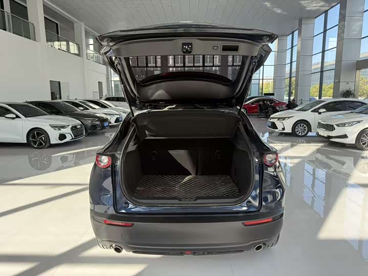 Mazda CX-30 2022 2022款 2.0L 自动嘉悦型黑曜版