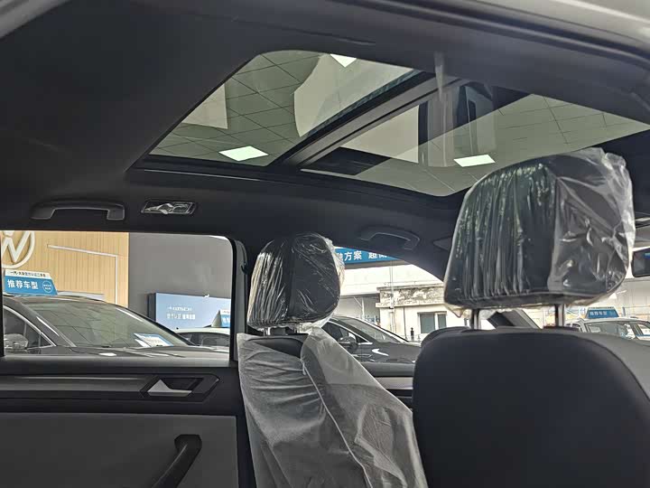 Volkswagen T-Roc 2025 2025款 300TSI DSG两驱星光版