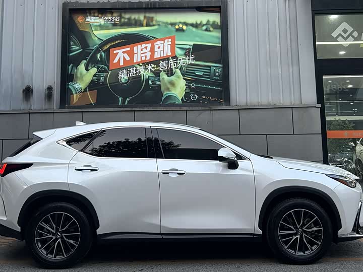 Lexus NX 2023 2023款 260 前驱 创驰版
