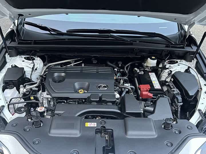 Lexus NX 2023 2023款 260 前驱 创驰版