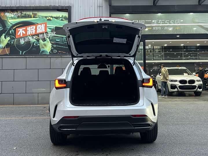 Lexus NX 2023 2023款 260 前驱 创驰版