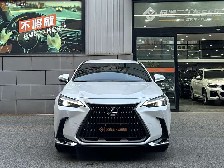 Lexus NX 2023 2023款 260 前驱 创驰版