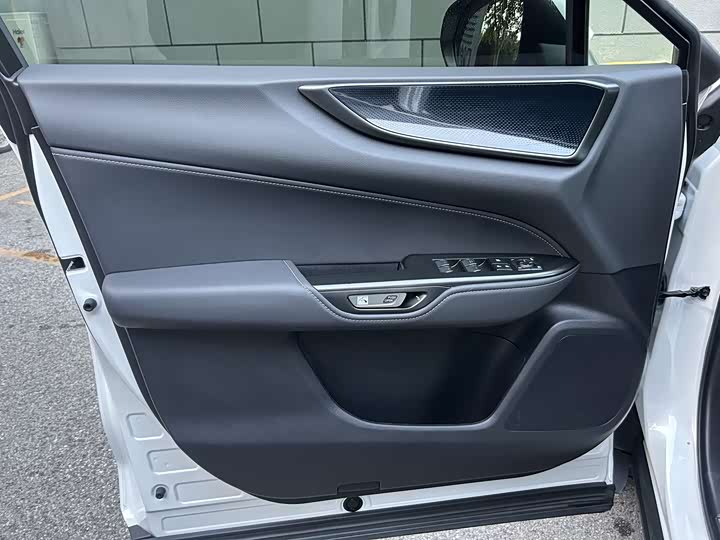 Lexus NX 2023 2023款 260 前驱 创驰版