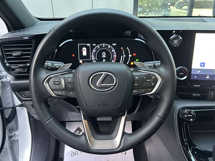 Lexus NX 2023 2023款 260 前驱 创驰版