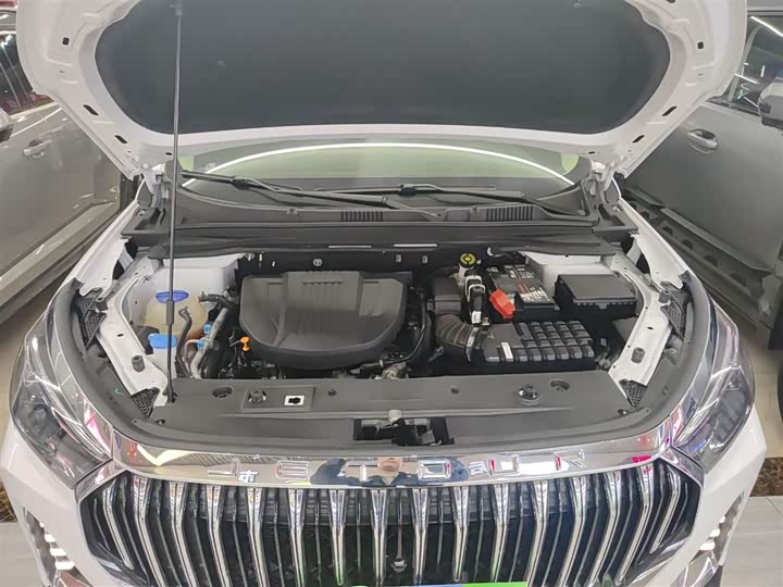 Jetour X90 Plus 2024 2024款 1.6TD DCT别墅PRO 7座