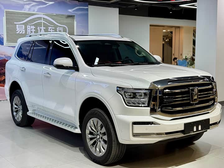 Tank 500 Hybrid 2025 2025款 Hi4-Z