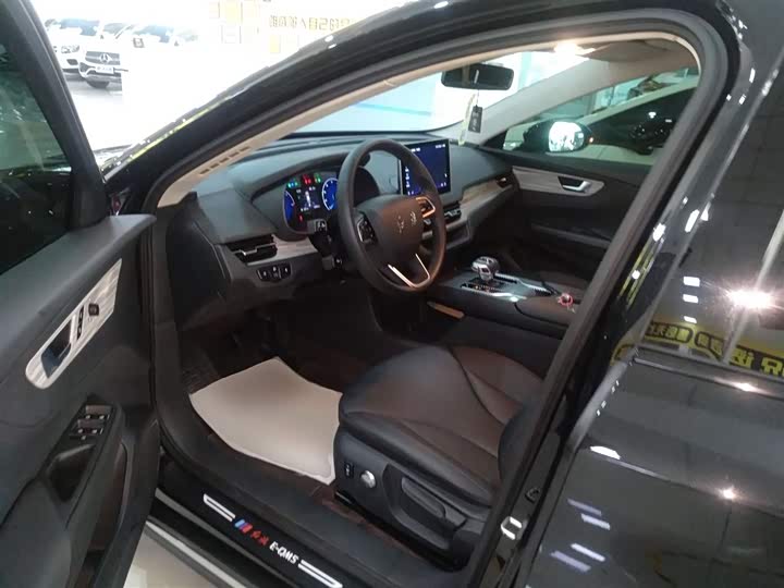 Hongqi E-QM5 2024 2024款 610km PLUS