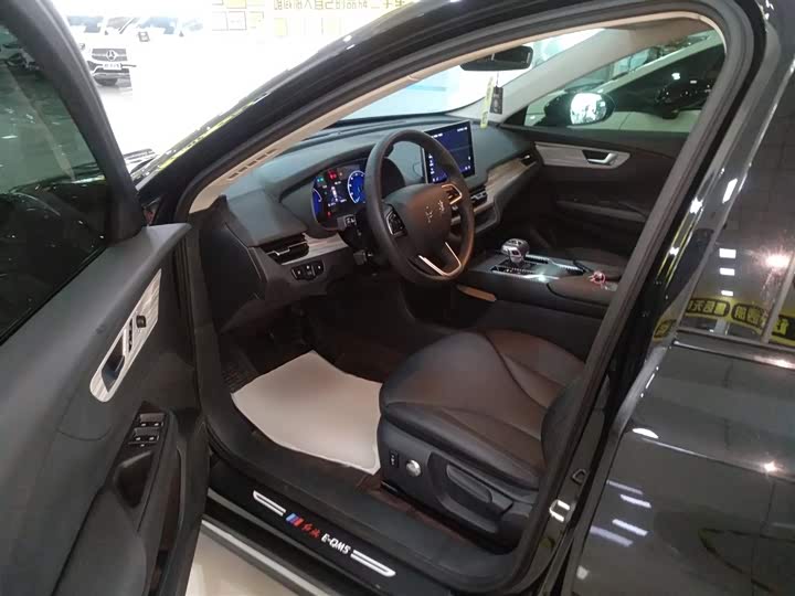 Hongqi E-QM5 2024 2024款 610km PLUS