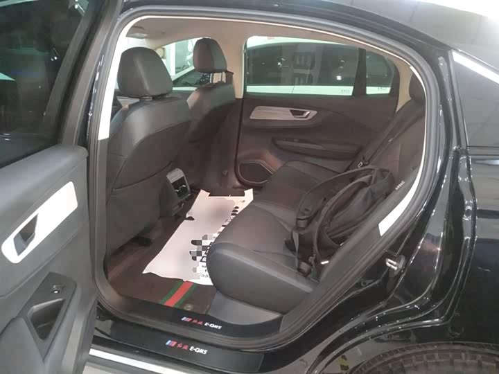 Hongqi E-QM5 2024 2024款 610km PLUS